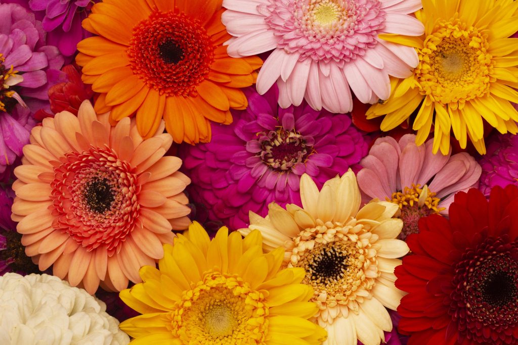 Fleurs de deuil avec les PF Blanchard